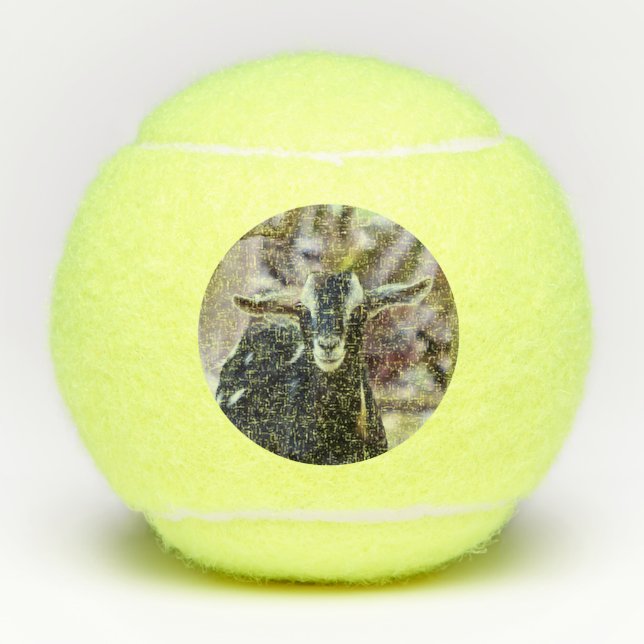 Black Goat Tennis Balls (Front)
