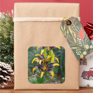 Black & Gold Asiatic Lily Square Sticker