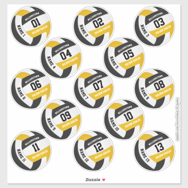 black gold school spirit volleyball players names (Sheet)