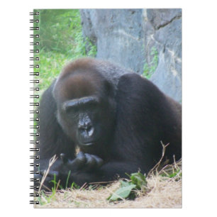 Black Gorilla Notebook