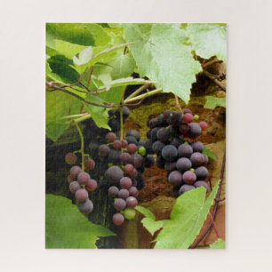 BLACK GRAPES  JIGSAW PUZZLE