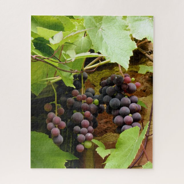 BLACK GRAPES  JIGSAW PUZZLE (Vertical)