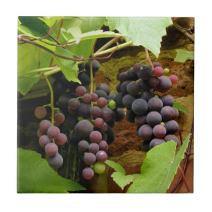 BLACK GRAPES TILE