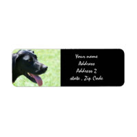 Black Great Dane Address Labels
