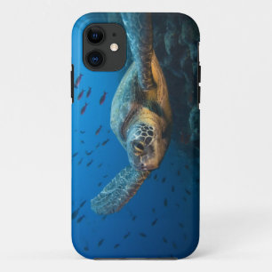 Black (Green) Turtle (Chelonia agassizi) iPhone 11 Case