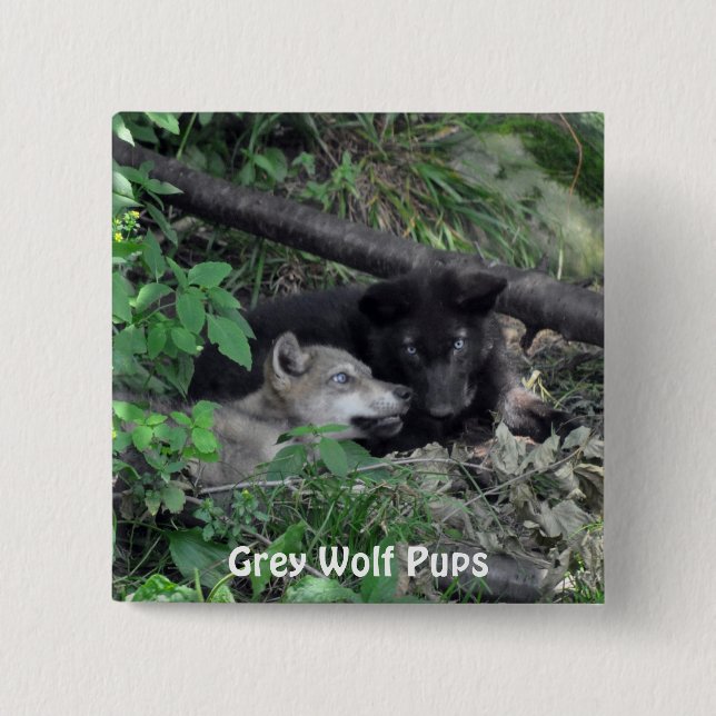 Black & Grey Wolf Pups Wildlife Collector Pin (Front)