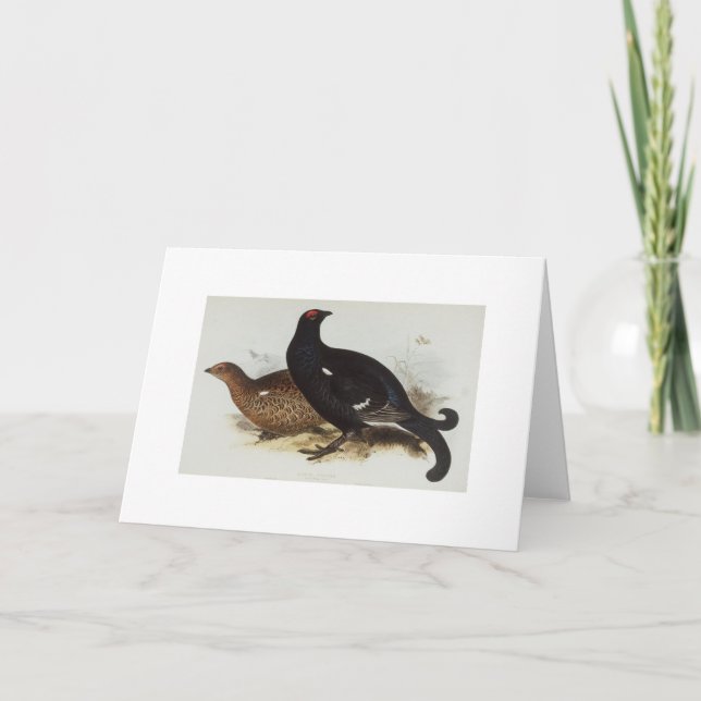 Black Grouse Card (Front)