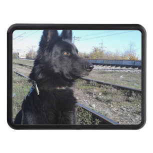 Black GSD with Train Tracks Trailer Hitch Cover