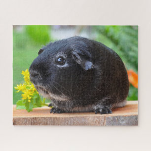 Black Guinea Pig Jigsaw Puzzle