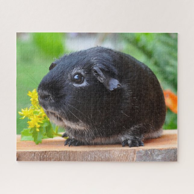 Black Guinea Pig Jigsaw Puzzle (Horizontal)