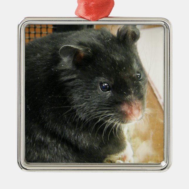 Black Hamster Photo Metal Ornament (Front)