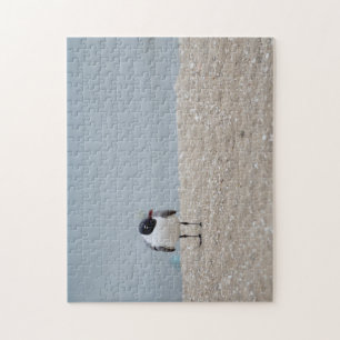 Black-Headed Gull Beach Shorebird Jigsaw Puzzle