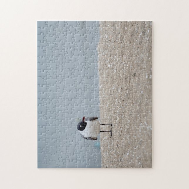 Black-Headed Gull Beach Shorebird Jigsaw Puzzle (Vertical)