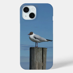 Black-headed Gull on Wood Post in Water iPhone 15 Case
