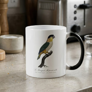 Black-Headed Male Parrot, Pionites Melanocephalus Magic Mug