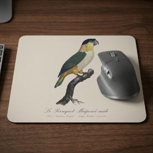 Black-Headed Male Parrot, Pionites Melanocephalus Mouse Pad