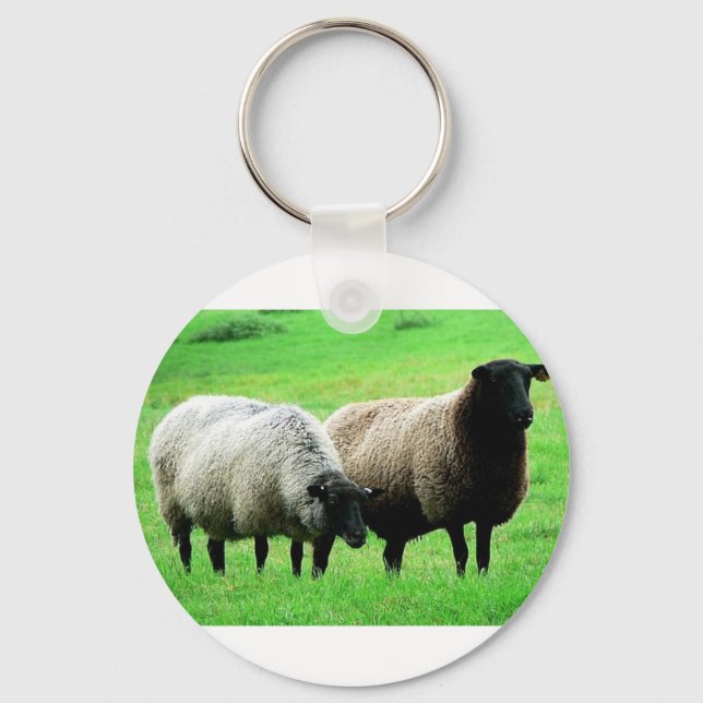 black-headed-sheep keychain (Front)