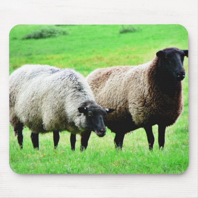 Black Headed Sheep Mouse Pad (Front)
