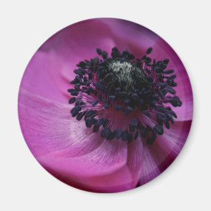 Black heart Anemone Round Magnet
