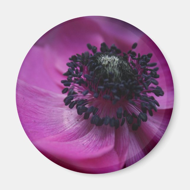 Black heart Anemone Round Magnet (Front)
