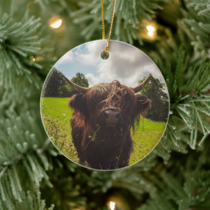 Black highland cow grazing green field sun light ceramic ornament