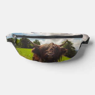 Black highland cow grazing green field sun light fanny pack