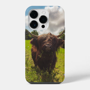 Black highland cow grazing green field sun light iPhone 14 pro case