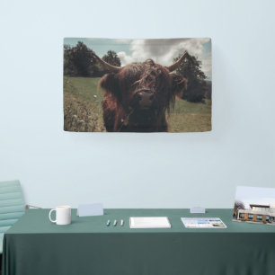 Black highland Scottish cow grazing vintage retro Banner