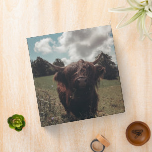Black highland Scottish cow grazing vintage retro Binder