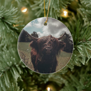 Black highland Scottish cow grazing vintage retro Ceramic Ornament