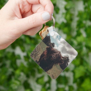 Black highland Scottish cow grazing vintage retro Keychain