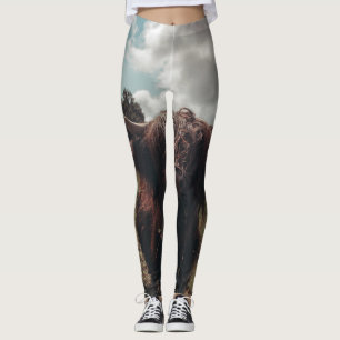 Black highland Scottish cow grazing vintage retro Leggings