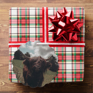 Black highland Scottish cow grazing vintage retro Ornament Card