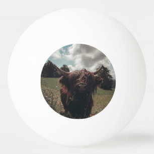 Black highland Scottish cow grazing vintage retro Ping Pong Ball