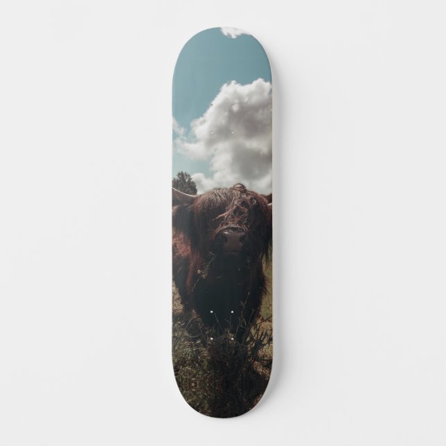 Black highland Scottish cow grazing vintage retro Skateboard (Front)
