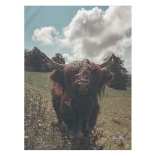 Black highland Scottish cow grazing vintage retro Tablecloth