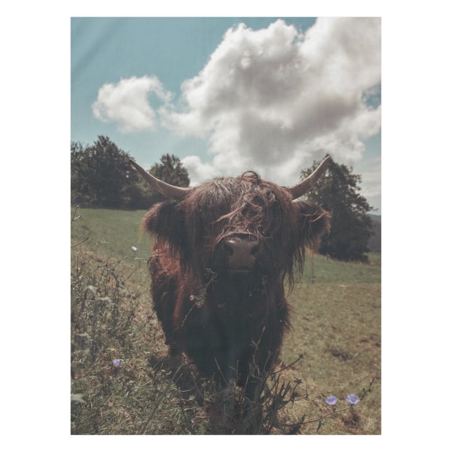 Black highland Scottish cow grazing vintage retro Tablecloth (Front)
