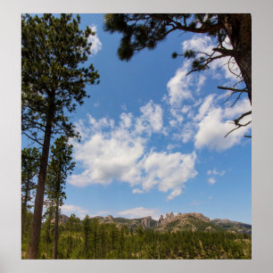 Black Hills Framed by Trees, South Dakota Poster