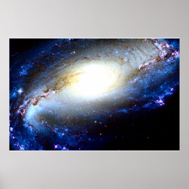 Black Hole Poster (Front)