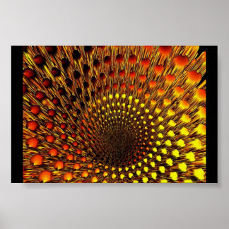 Black Hole Spider Web Poster