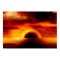 Black Hole Sun