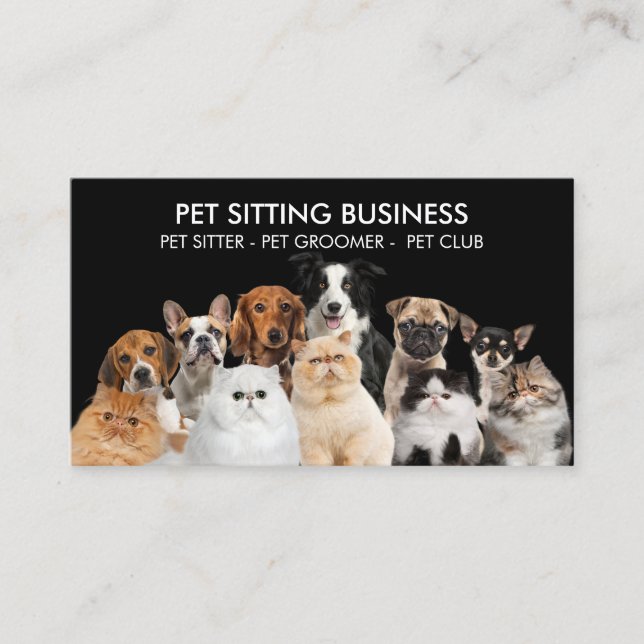 Black Home Pet Six Dogs Five Cats Business Card (Front)