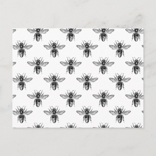 Black Honey Bees on White Postcard (Front)