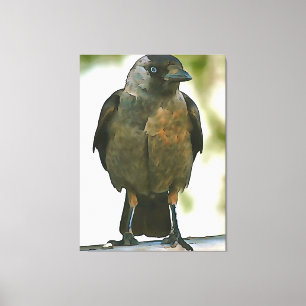 Black Hooded Crow Perched on A Balustrade Art Canvas Print