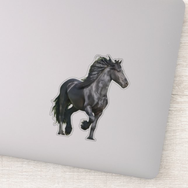 Black horse (Detail)