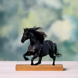 Black horse