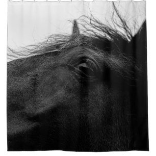 BLACK HORSE