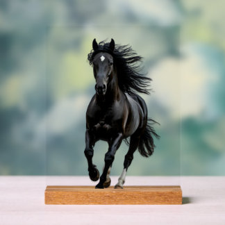 Black horse acrylic sign