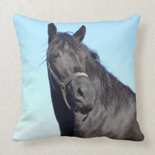 Black Horse And The Blue Sky Throw Pillow