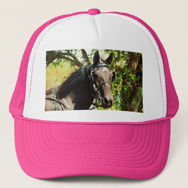 Black horse at National Drive Trucker Hat (Front)